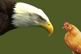 Y tú, ¿eres águila o gallina? | ExceLence Management
